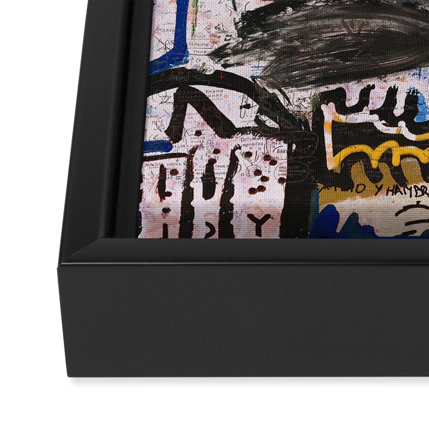 Cucu Framed Canvas Print Gallery Image 3