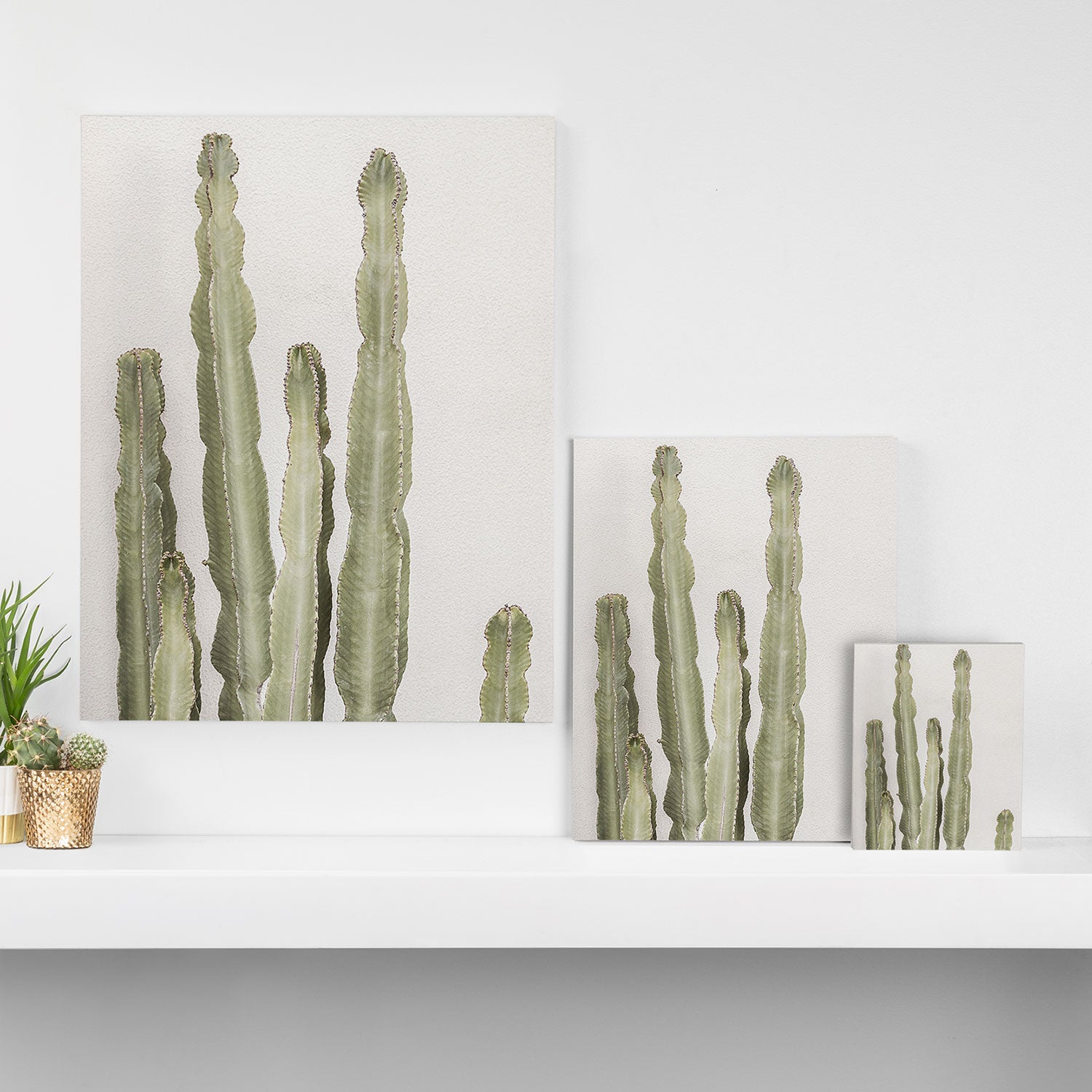 Cactus Canvas Print Gallery Image 3