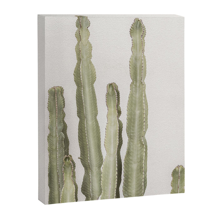 Cactus Canvas Print Gallery Image 1