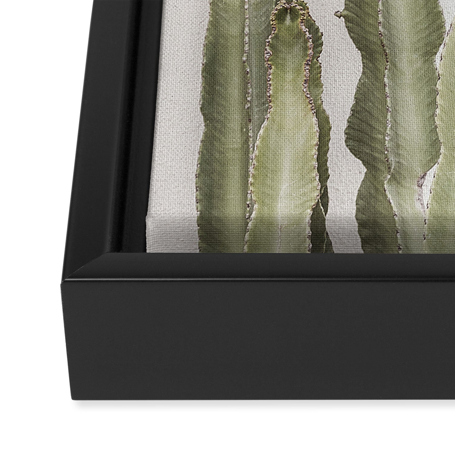 Cactus Framed Canvas Print Gallery Image 3