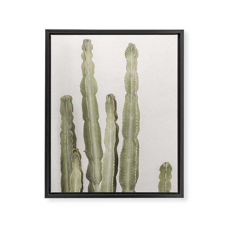 Cactus Framed Canvas Print Gallery Image 3