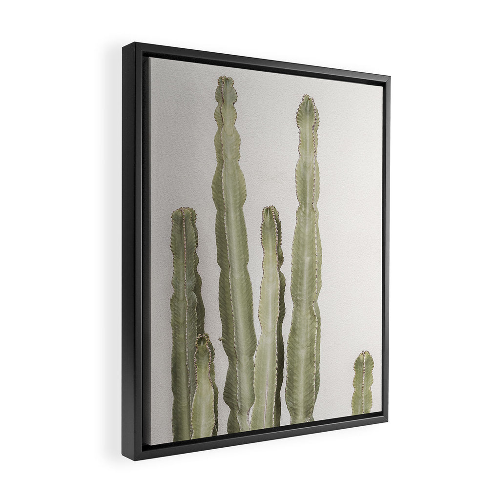 Cactus Framed Canvas Print Gallery Image 2