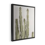 Cactus Framed Canvas Print Gallery Image 2