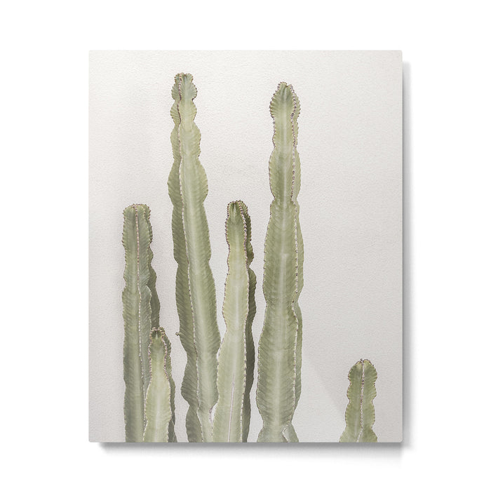 Cactus Metal Print Gallery Image 1