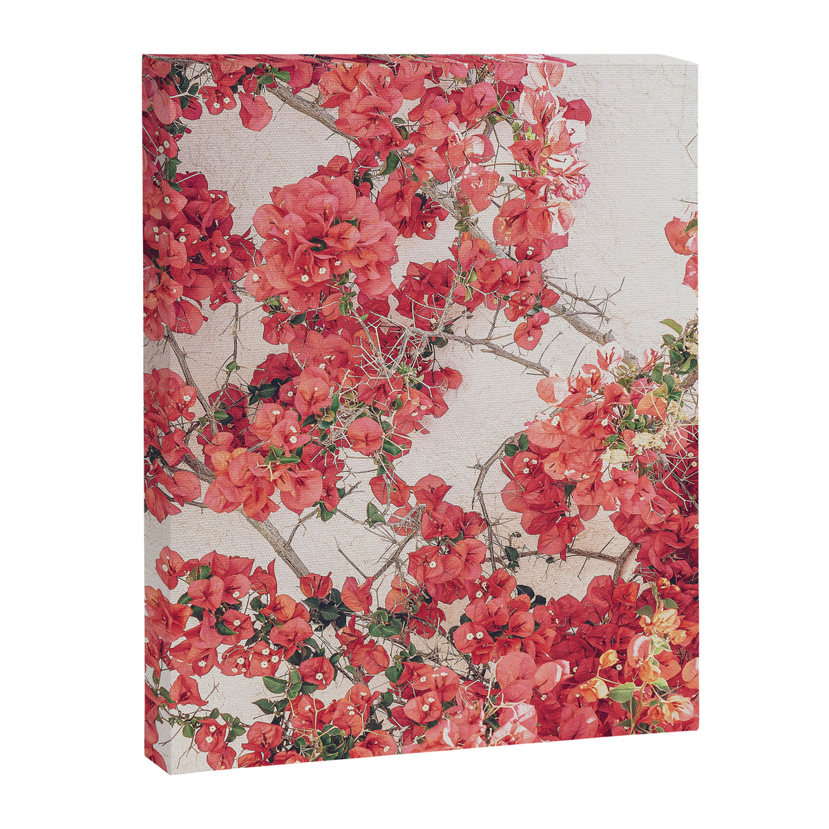 Mediterranean Bougainvillea Flower Canvas Print Gallery Image 6