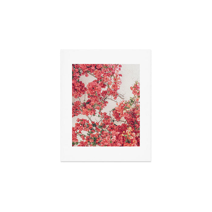 Mediterranean Bougainvillea Flower Art Print Gallery Image 1