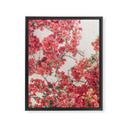 Mediterranean Bougainvillea Flower Framed Canvas Print Gallery Image 6