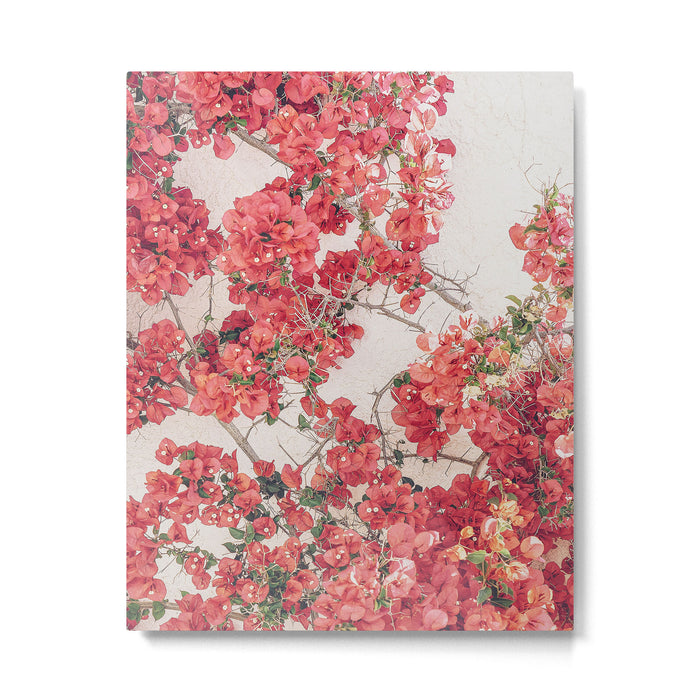 Mediterranean Bougainvillea Flower Metal Print Gallery Image 1