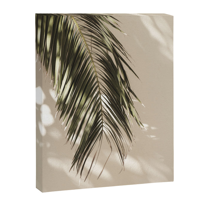 Palm Leaf Shadow Summer Canvas Print Gallery Image 1