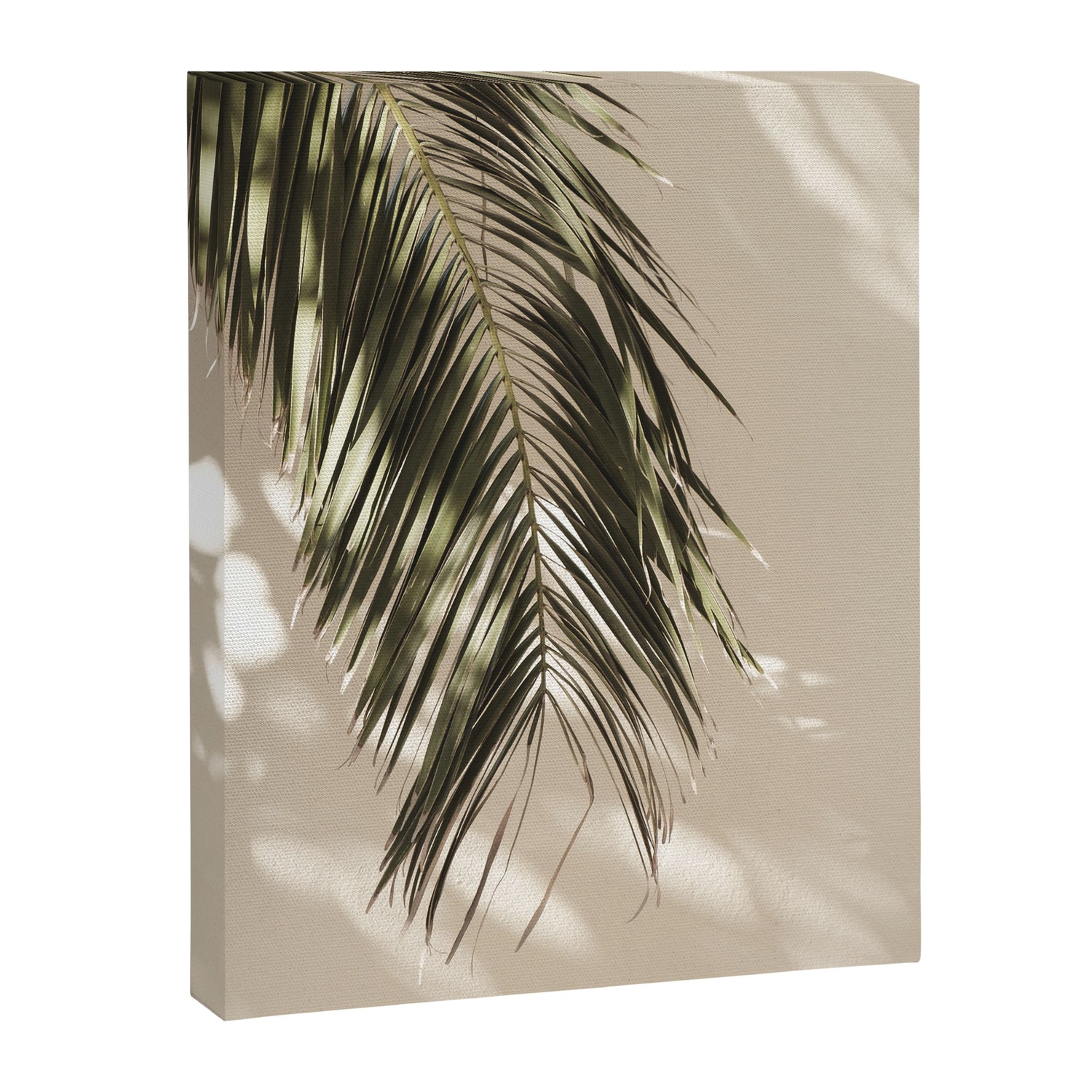 Palm Leaf Shadow Summer Canvas Print Gallery Image 6