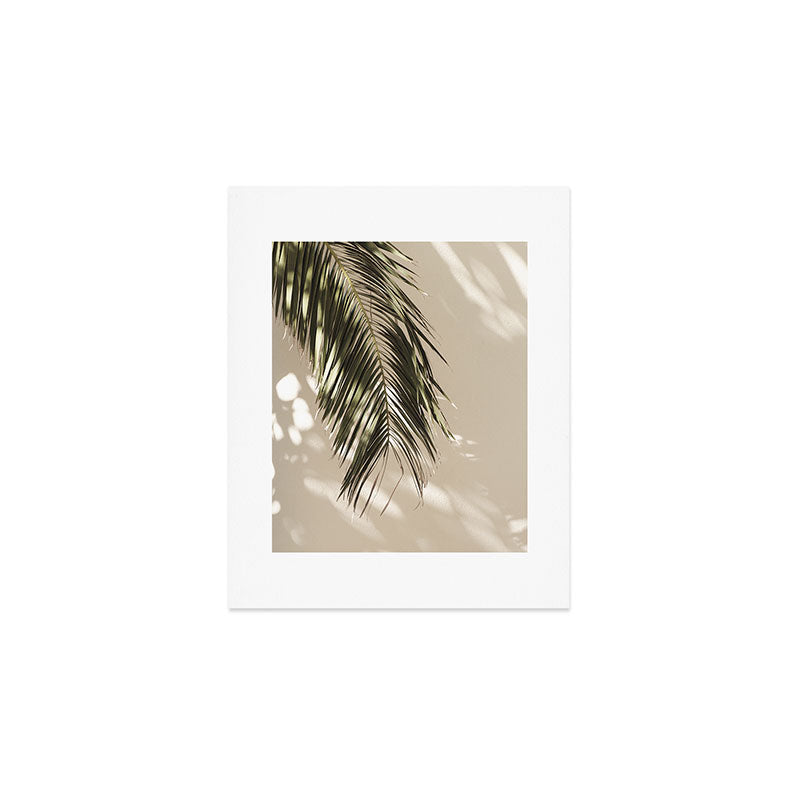 Palm Leaf Shadow Summer Art Print Gallery Image 1
