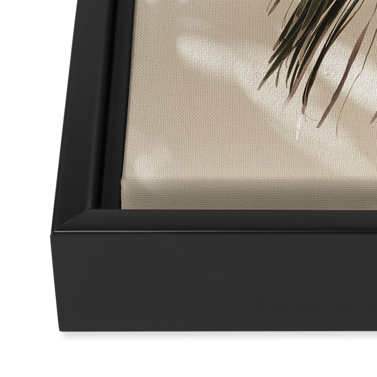 Palm Leaf Shadow Summer Framed Canvas Print Gallery Image 3