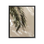 Palm Leaf Shadow Summer Framed Canvas Print Gallery Image 6