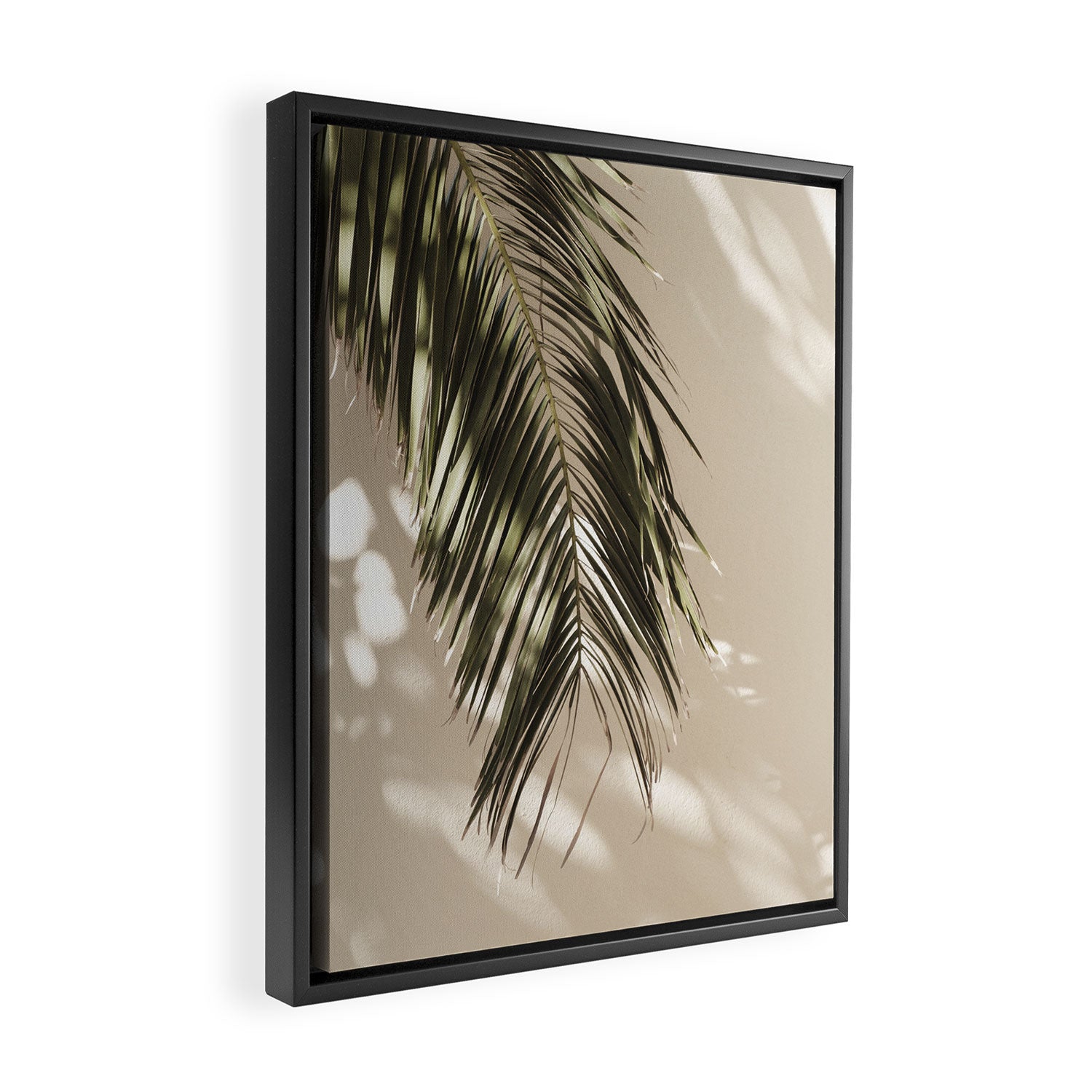 Palm Leaf Shadow Summer Framed Canvas Print Gallery Image 2