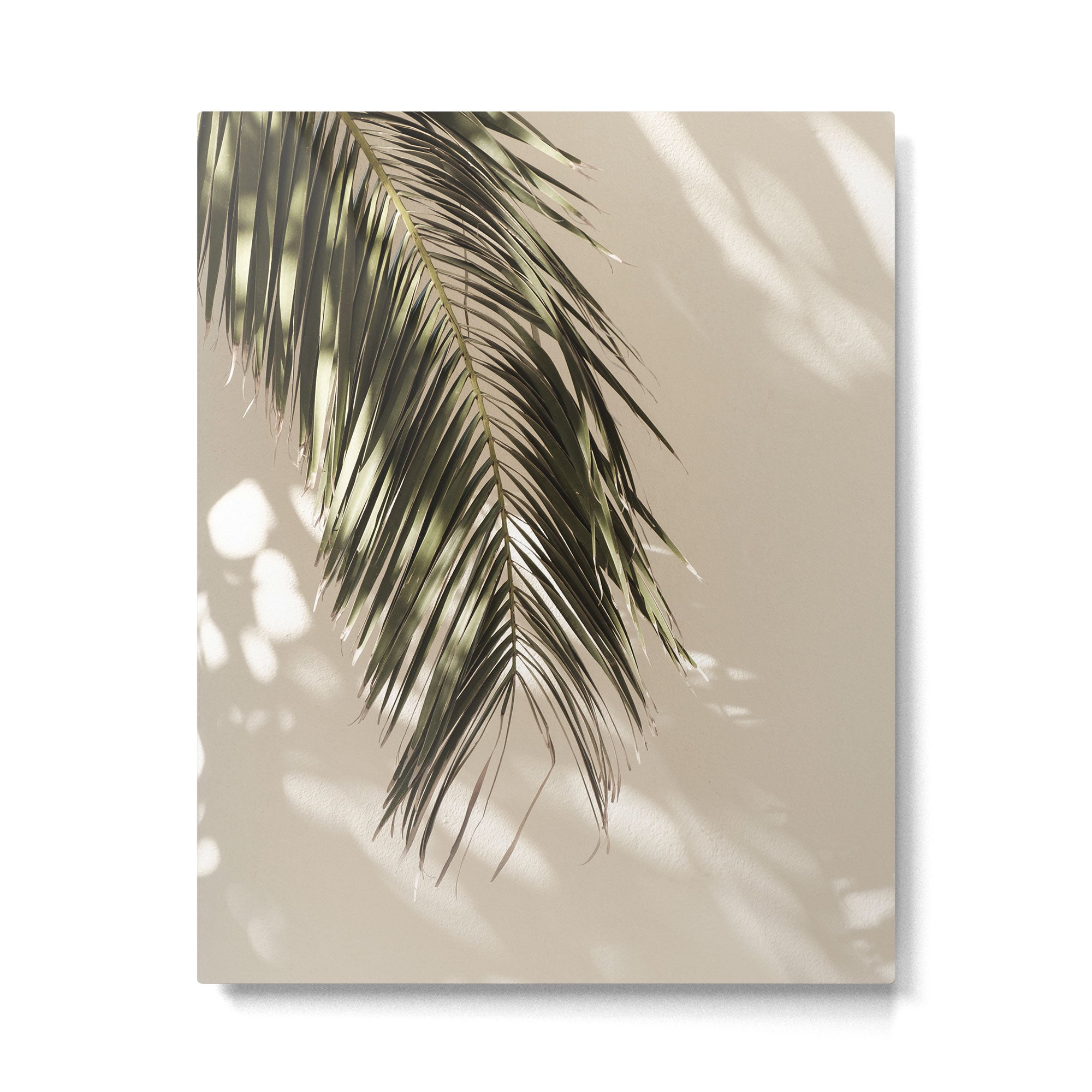 Palm Leaf Shadow Summer Metal Print Gallery Image 4