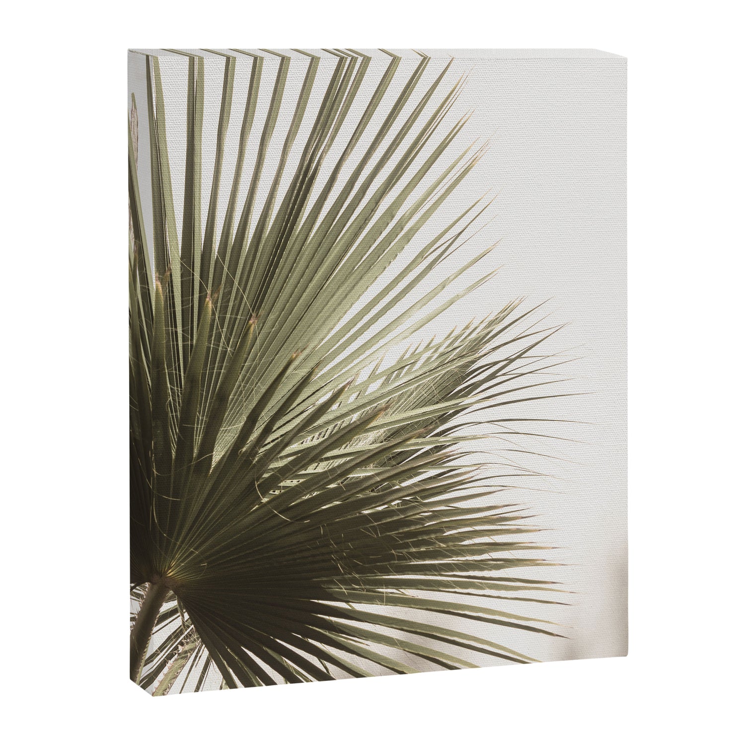 Palm Leaf Tropical Canvas Print Gallery Image 6