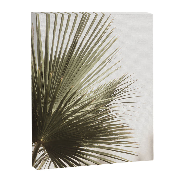 Palm Leaf Tropical Canvas Print Gallery Image 1