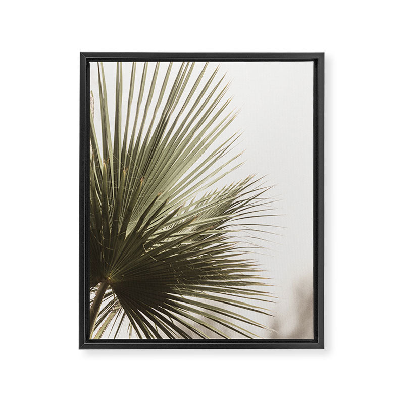 Palm Leaf Tropical Framed Canvas Print Gallery Image 6