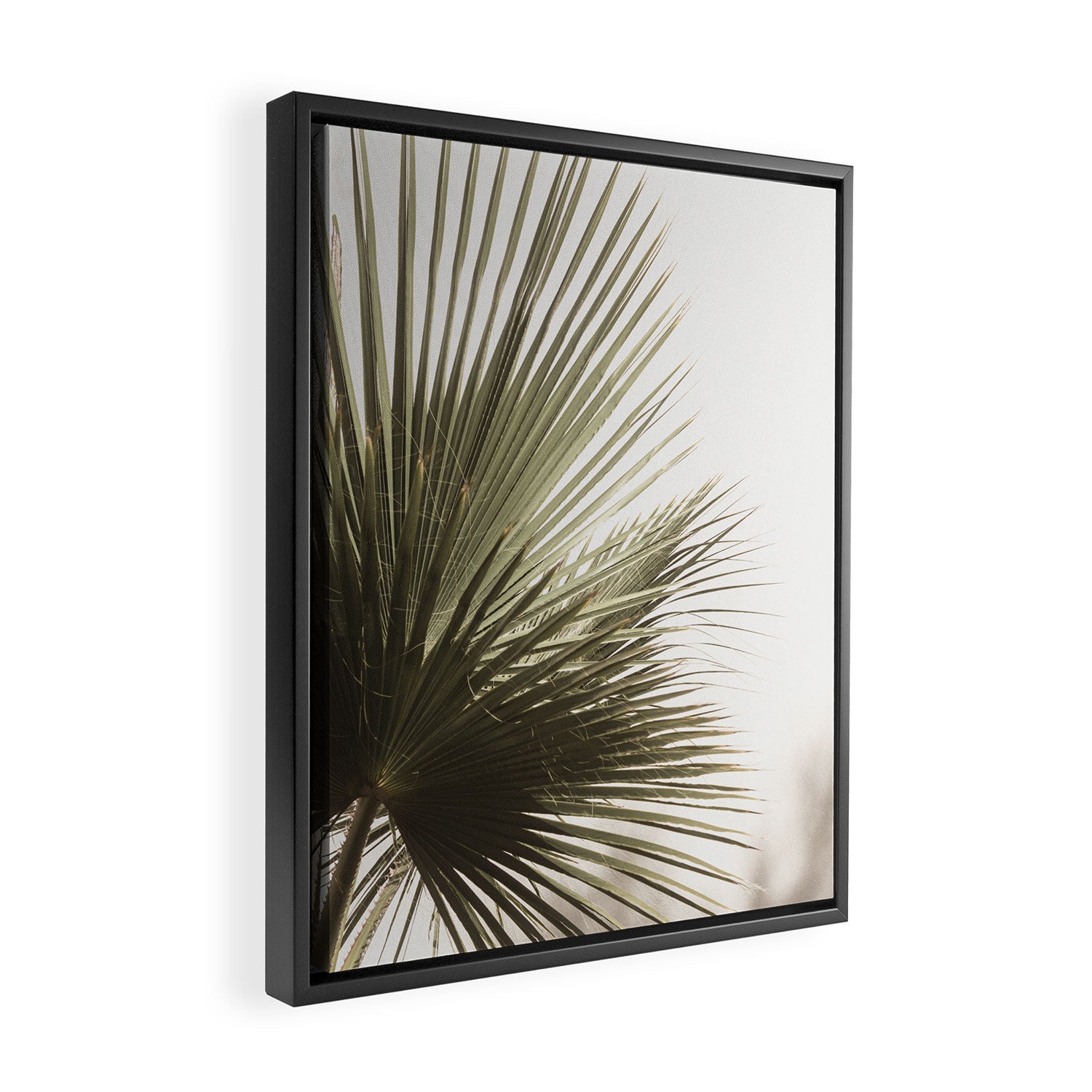 Palm Leaf Tropical Framed Canvas Print Gallery Image 2