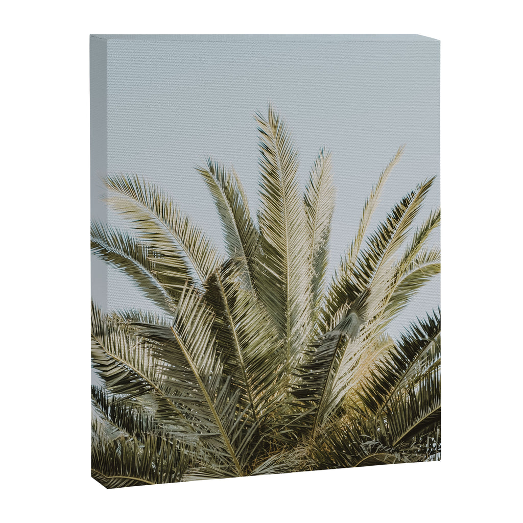 Palm Tree Leafs Photography Canvas Print Gallery Image 6