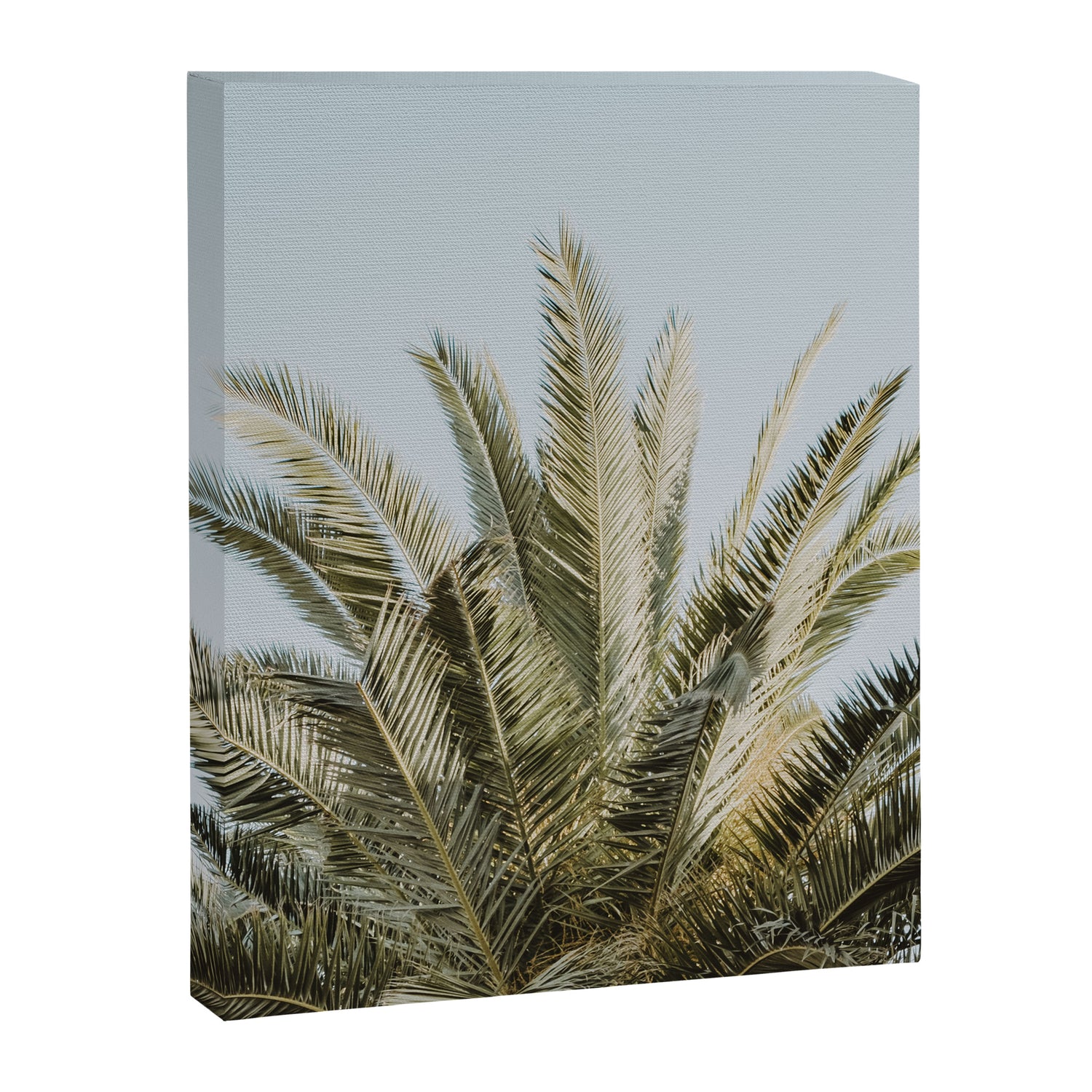 Palm Tree Leafs Photography Canvas Print Gallery Image 6
