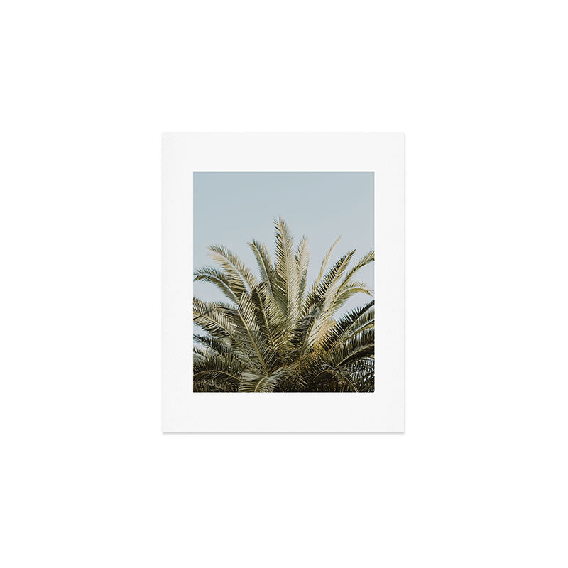 Palm Tree Leafs Photography Art Print Gallery Image 1