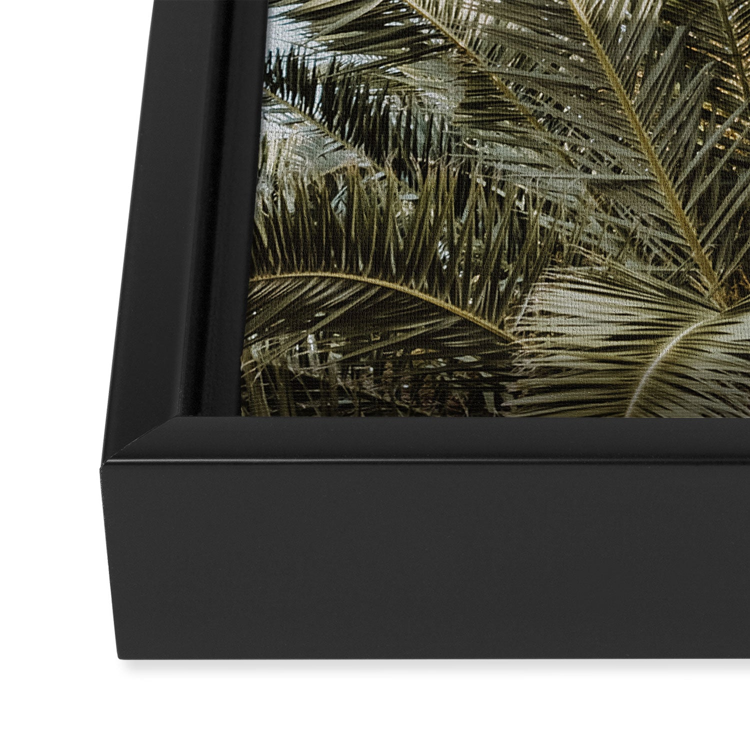 Palm Tree Leafs Photography Framed Canvas Print Gallery Image 3