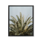 Palm Tree Leafs Photography Framed Canvas Print Gallery Image 6