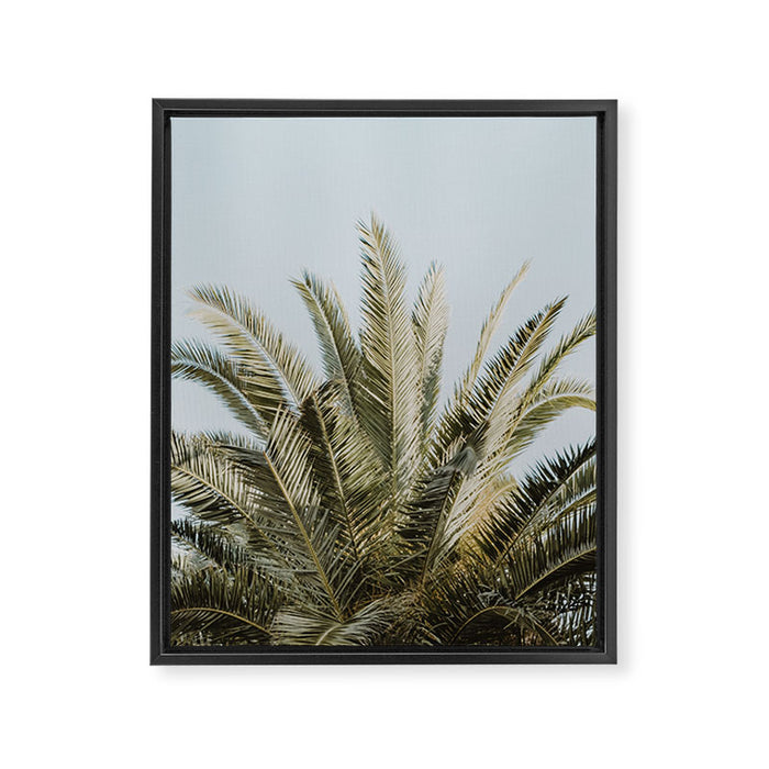 Palm Tree Leafs Photography Framed Canvas Print Gallery Image 1