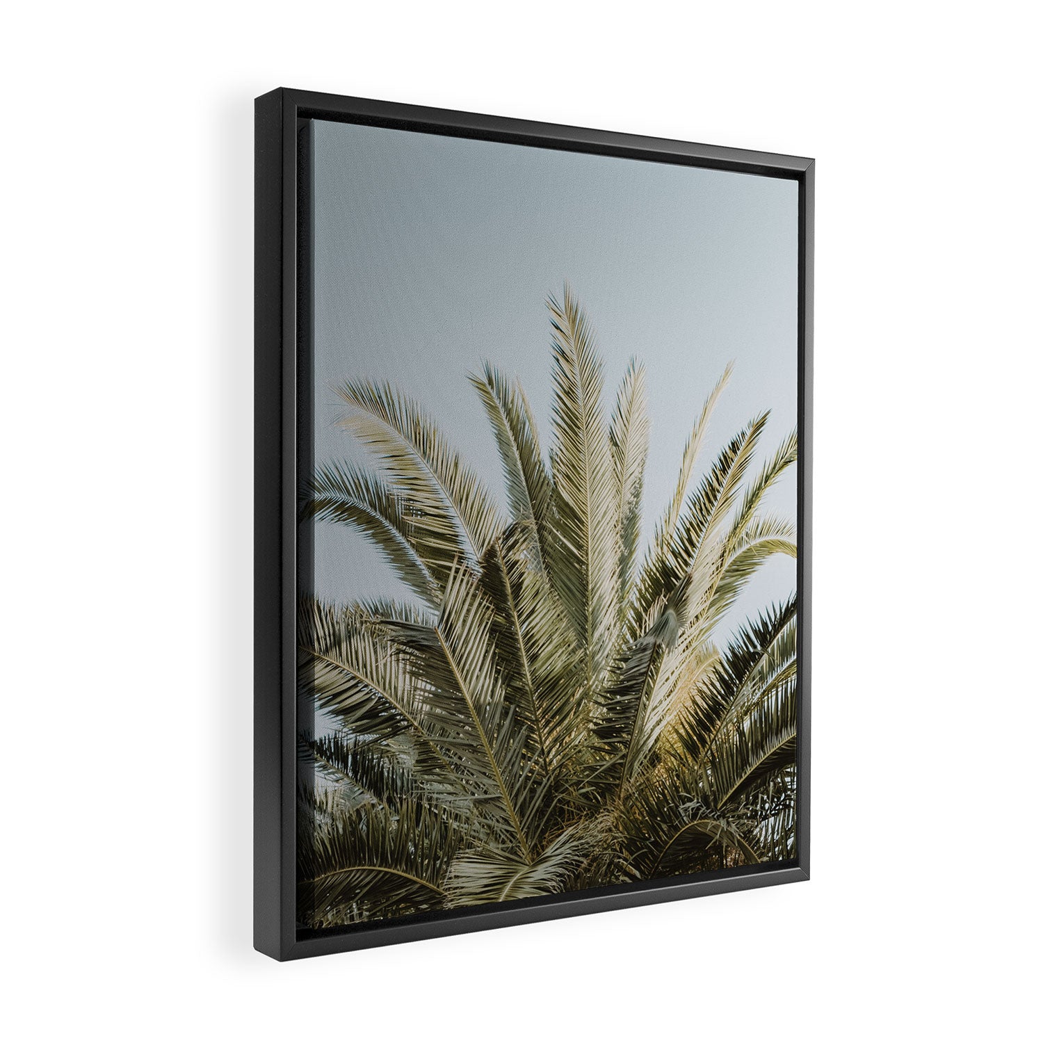 Palm Tree Leafs Photography Framed Canvas Print Gallery Image 2