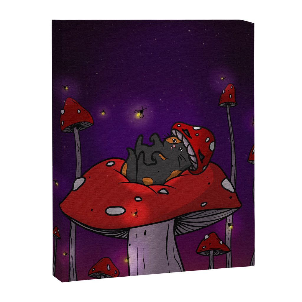 Tortie Cat Magic Canvas Print Gallery Image 6