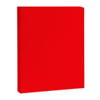 Bright Fluorescent Neon Red Fireball Canvas Print Gallery Image 8