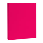 Bright Fluorescent Pink Neon Canvas Print Gallery Image 8