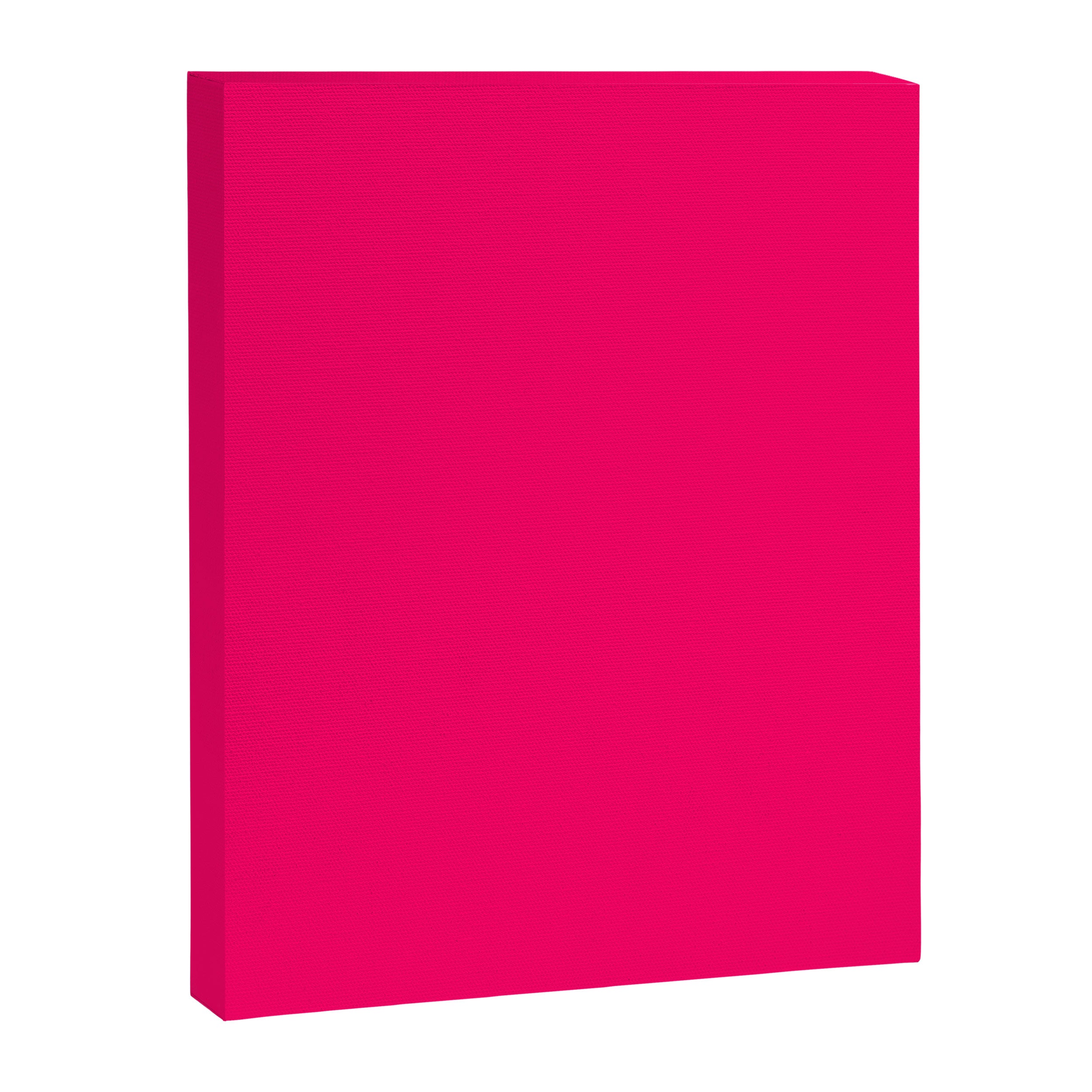 Bright Fluorescent Pink Neon Canvas Print Gallery Image 8