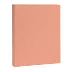 Peach Solid Color Canvas Print Gallery Image 8