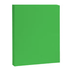 Solid Bright Kelly Green Color Canvas Print Gallery Image 8