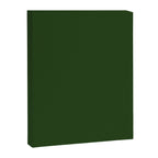 Solid Dark Forest Green Simple Solid Color All Over Print Canvas Print Gallery Image 8
