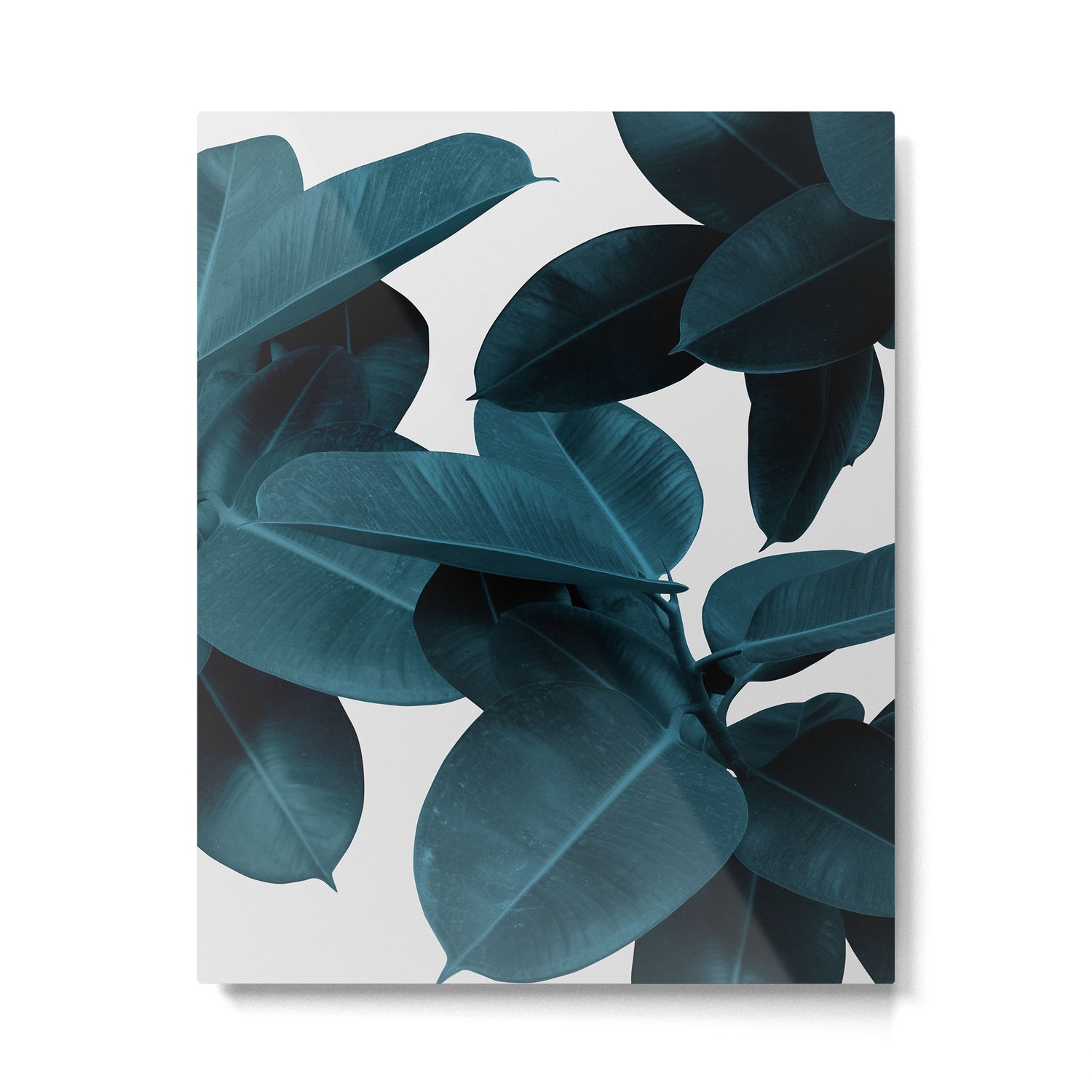 Indigo Blue Plant Leaves Metal Print Gallery Image 4