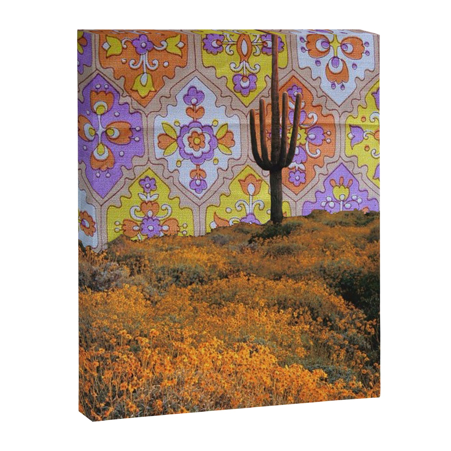 Dasht-e Kavir Canvas Print Gallery Image 6