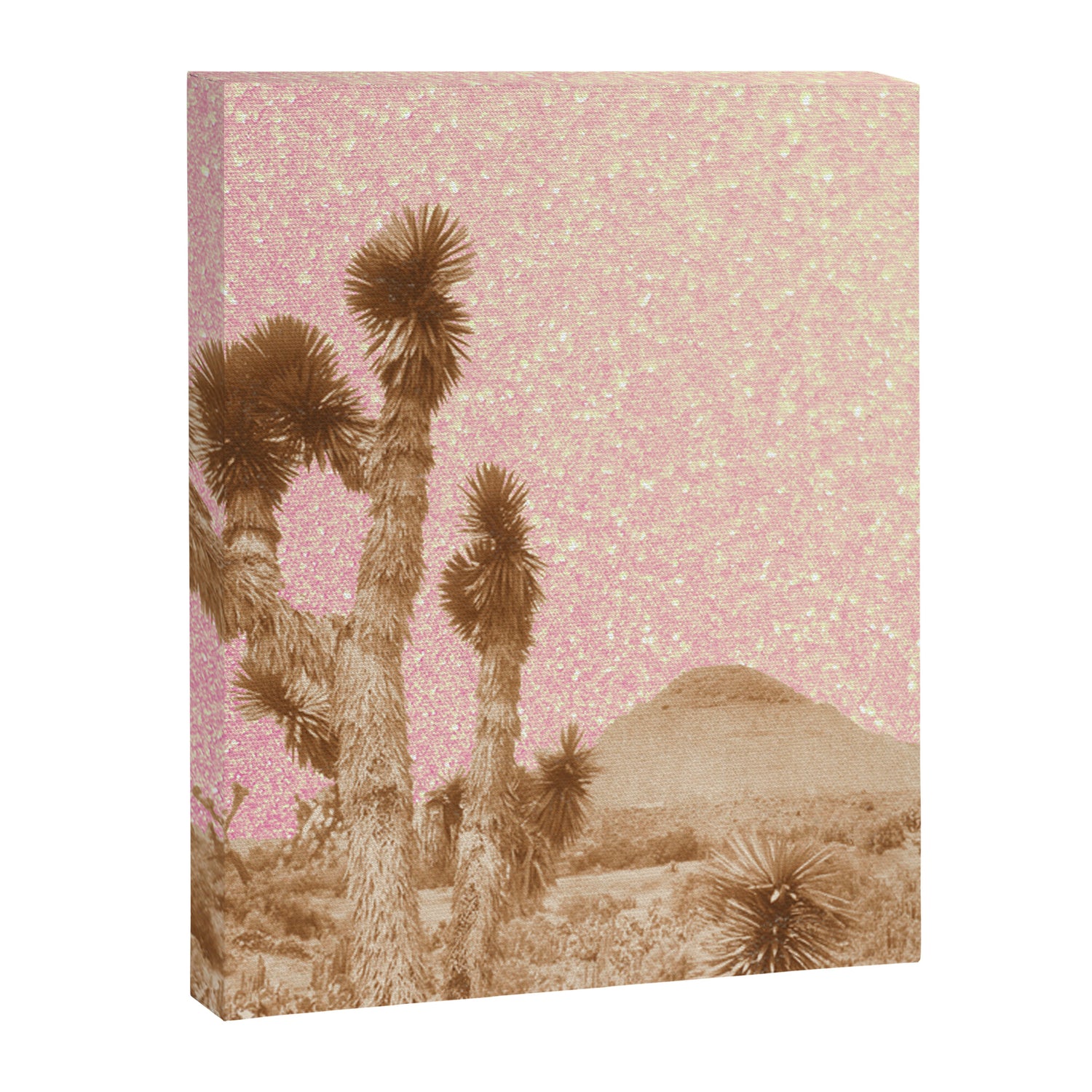 Desert Dreaming Canvas Print Gallery Image 6