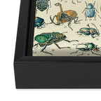 Bugs and Insect Vintage Illustration Drawing by Adolphe Millot of Giant Beatle Dragon Flies Leaf Bug Framed Canvas Print Gallery Image 3