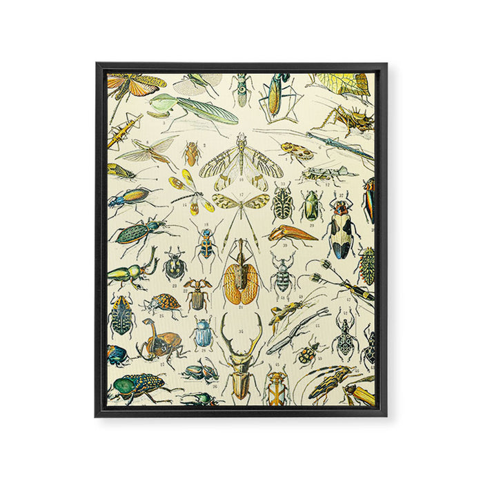 Bugs and Insect Vintage Illustration Drawing by Adolphe Millot of Giant Beatle Dragon Flies Leaf Bug Framed Canvas Print Gallery Image 1