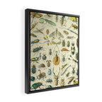 Bugs and Insect Vintage Illustration Drawing by Adolphe Millot of Giant Beatle Dragon Flies Leaf Bug Framed Canvas Print Gallery Image 2