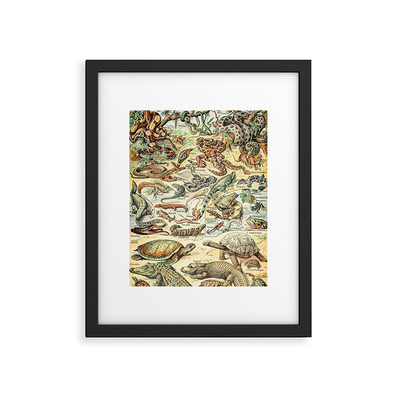 Reptiles II by Adolphe Millot // XL 19th Century Snakes Lizards Alligators Science Textbook Artwork Framed Art Print Gallery Image 6