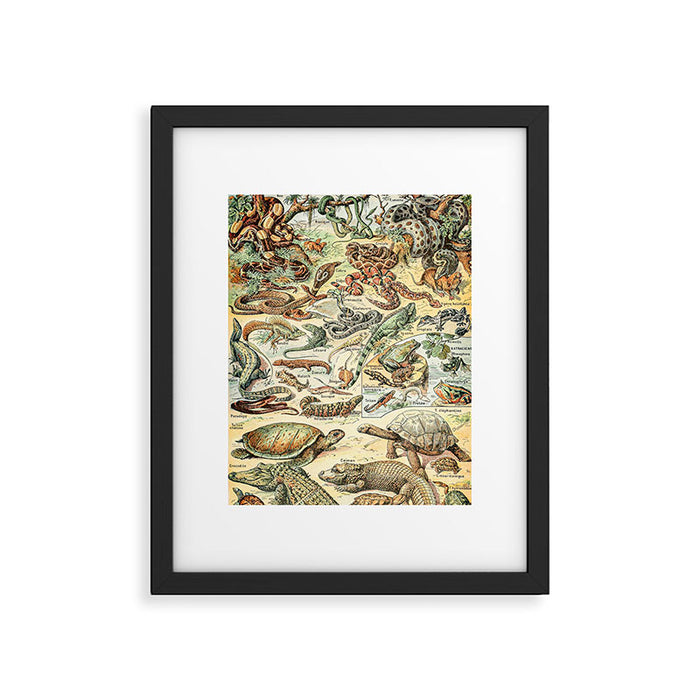 Reptiles II by Adolphe Millot // XL 19th Century Snakes Lizards Alligators Science Textbook Artwork Framed Art Print Gallery Image 1