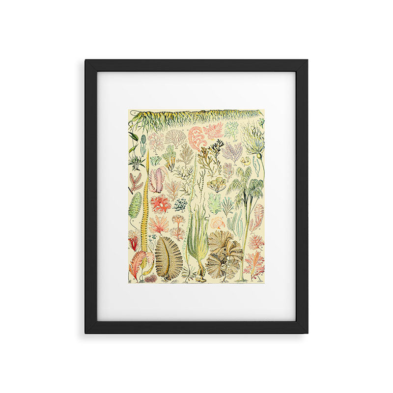 Seaweed and Coral Vintage Illustration Drawing by Adolphe Millot of Underwater Peach Pink Sea Plants Framed Art Print Gallery Image 5