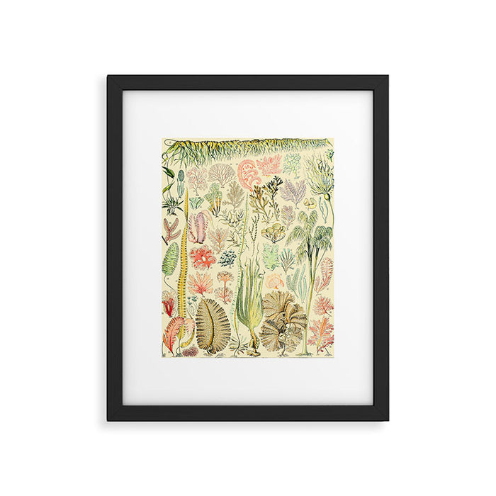 Seaweed and Coral Vintage Illustration Drawing by Adolphe Millot of Underwater Peach Pink Sea Plants Framed Art Print Gallery Image 1