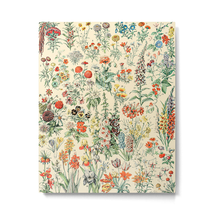 Wildflower Diagram // Fleurs II by Adolphe Millot XL 19th Century Science Textbook Artwork Metal Print Gallery Image 1
