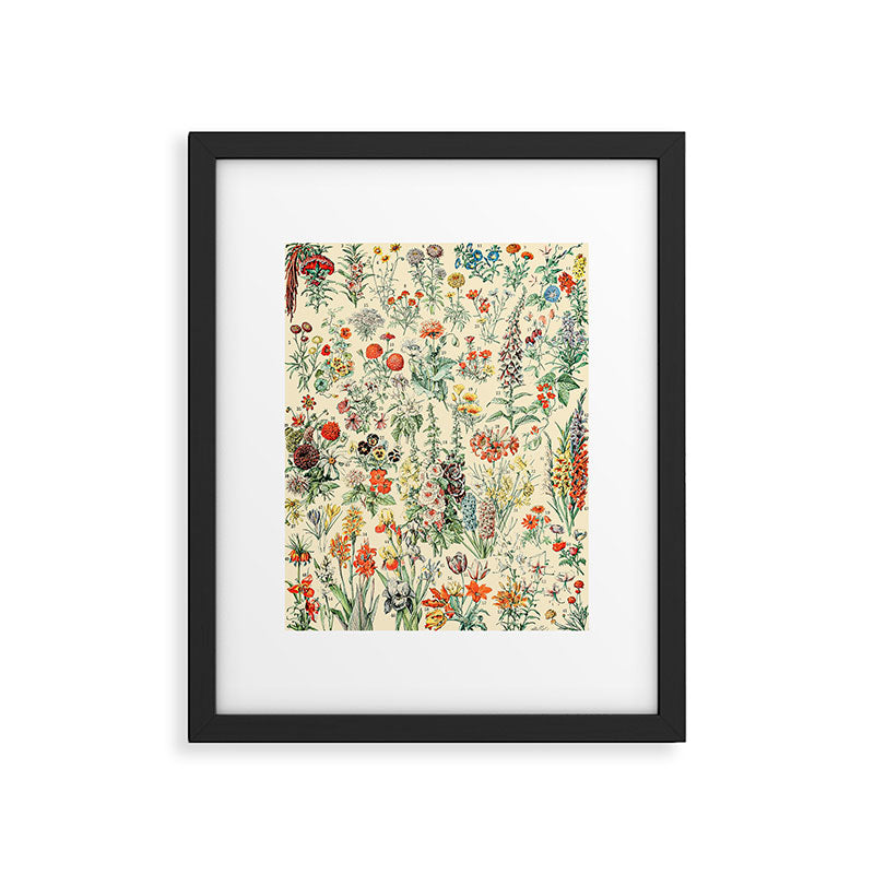 Wildflower Diagram // Fleurs II by Adolphe Millot XL 19th Century Science Textbook Artwork Framed Art Print Gallery Image 6