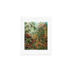 Ernst Haeckel Muscinae Microscopic Landscape Art Print Gallery Image 1